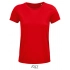 Crusader Women T-Shirt