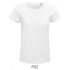 Crusader Women T-Shirt