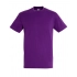 Regent T-Shirt 150