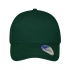 6 Panel Mesh Cap