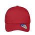 6 Panel Mesh Cap
