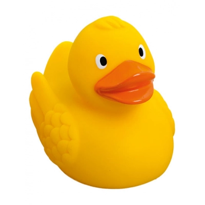 
                                                Swimming duck
                                                