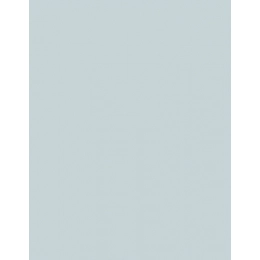 Polyenon 40 (1.000 m)