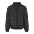Jackets. Light Puffer Jacket