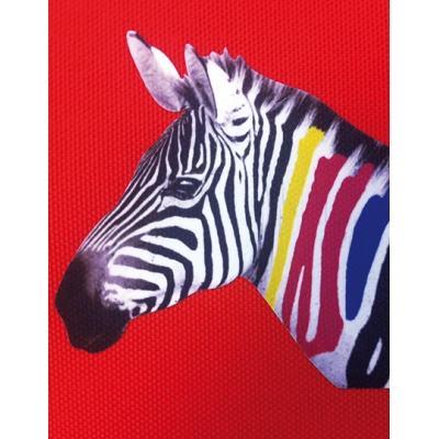 
                                            Пленки и аксессуары. Флок для растворителей CAD-COLOR®
                                            