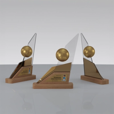 
                                            Награда «Динамика» футбол
                                            