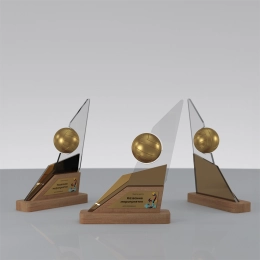 Награда «Динамика» волейбол