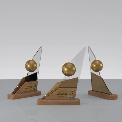 
                                            Награда «Динамика» волейбол
                                            