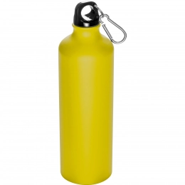 Metal bottle with snaphook 800 ml