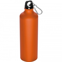 Metal bottle with snaphook 800 ml