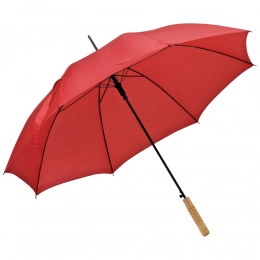 Automatic umbrella
