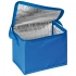 Cooling bag