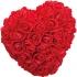 Decorative roses JANICE