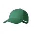 Cap Haliard