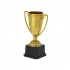 Trophy Plinar