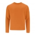 Adult Sweatshirt Cosmos