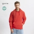 Adult Sweatshirt Draco
