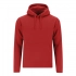 Adult Sweatshirt Draco