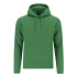 Adult Sweatshirt Draco