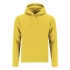 Adult Sweatshirt Draco