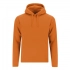 Adult Sweatshirt Draco