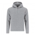 Adult Sweatshirt Draco