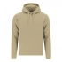 Adult Sweatshirt Draco