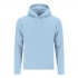 Adult Sweatshirt Draco