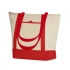 Cool Bag Darteli