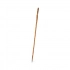 Walking Pole Tamdar