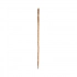 Walking Pole Tamdar