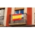 Flag Caser