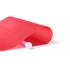 Pennant Flag Rolof