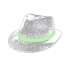 Hat Bauwens