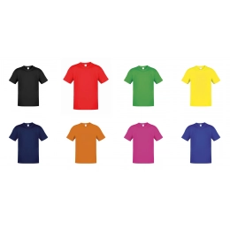 Adult Color T-Shirt Hecom