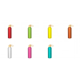 Бутылка Irvinson