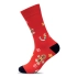 Pair of Christmas socks L
