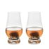 Set of whisky tasting glasses