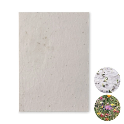 
                                                A5 wildflower seed paper sheet
                                                