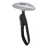 Luggage scale
