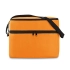 Cooler bag with 2 compartments