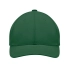 Brushed heavy cotton 6 panel