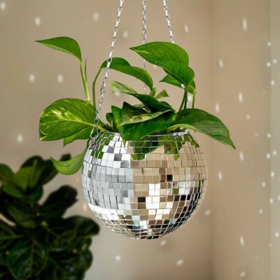 
                                                Funky Disco Planter
                                                
