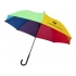 Umbrella-cane 