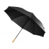 Umbrella-cane 
