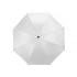 Umbrella-cane 