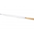 Umbrella-cane 