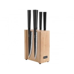 Set of 5 kitchen knives on a magnetic block 
