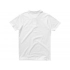 Men's polo shirt 