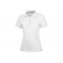 Calgary women's polo shirt